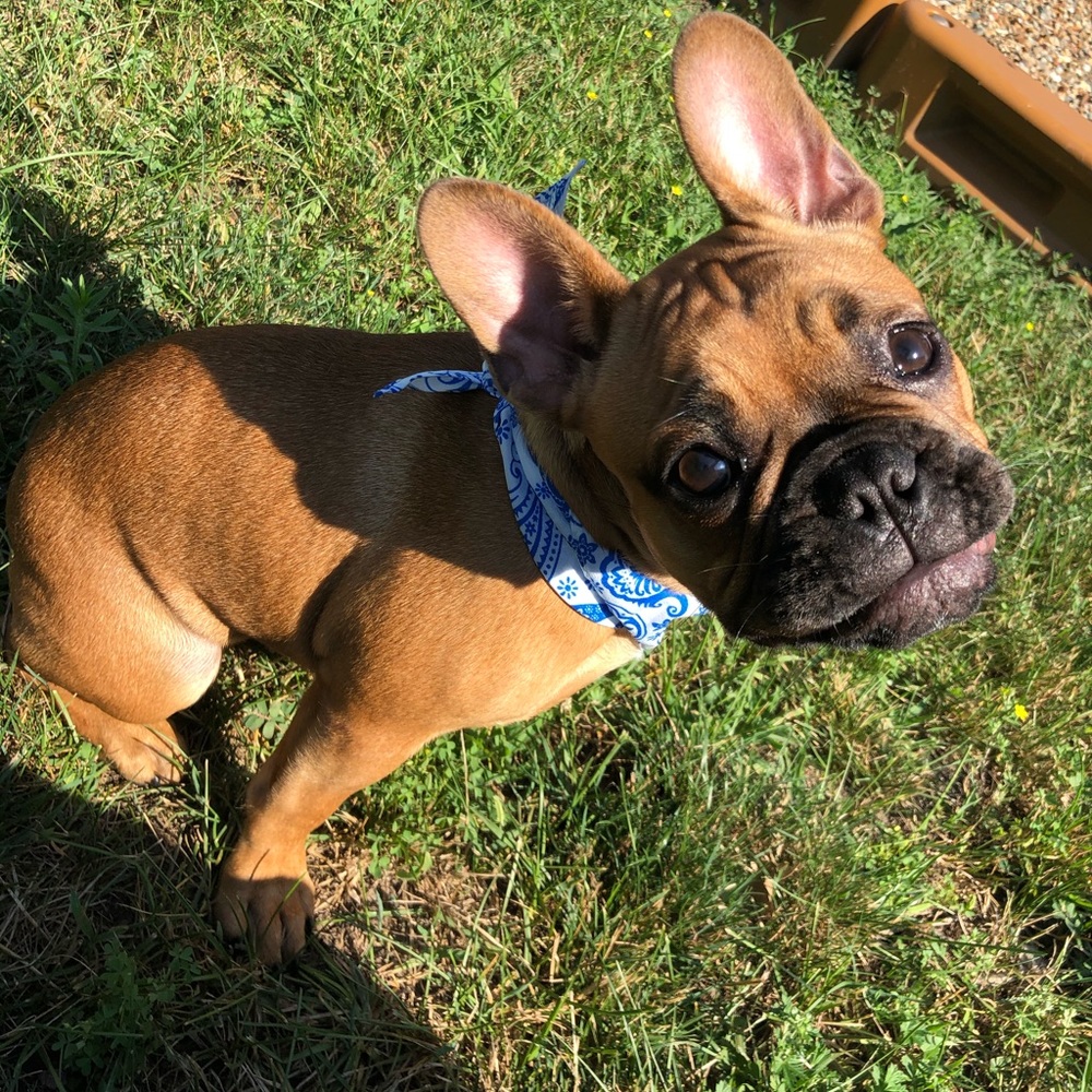 Meet your Posher, Kayla